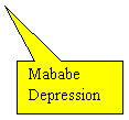 Rectangular Callout: Mababe Depression