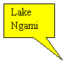 Rectangular Callout: Lake Ngami