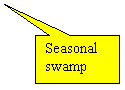 Rectangular Callout: Seasonal swamp