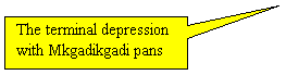 Rectangular Callout: The terminal depression with Mkgadikgadi pans